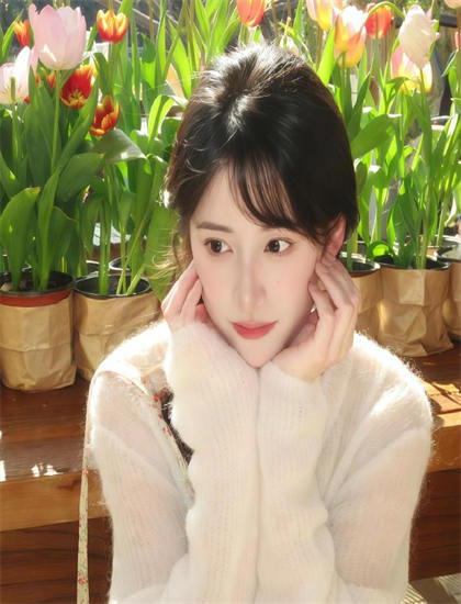 小厨神逗逗系列作品比较：各部特点与优劣分析，影院同步